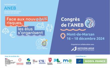 Affiche congrès ANEB