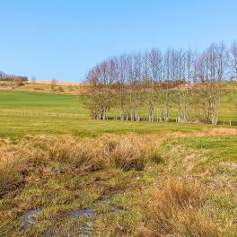 Zones humides dans le secteur de Ville-sur-Illon