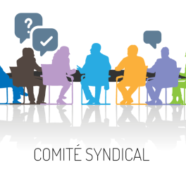 Comité syndical