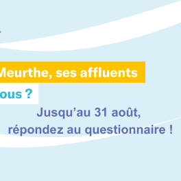 La Meurthe, ses affluents