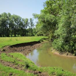 Berge piétinée sur le Val d'Arol à Ramécourt