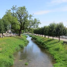 La Saule, affluent du Madon