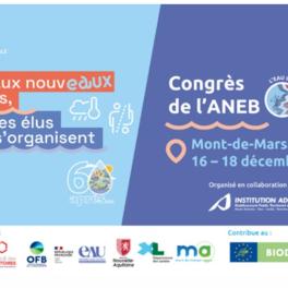 Affiche congrès ANEB