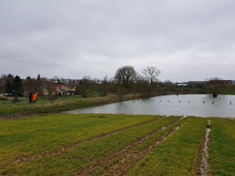 Bassin de rétention de Maizières